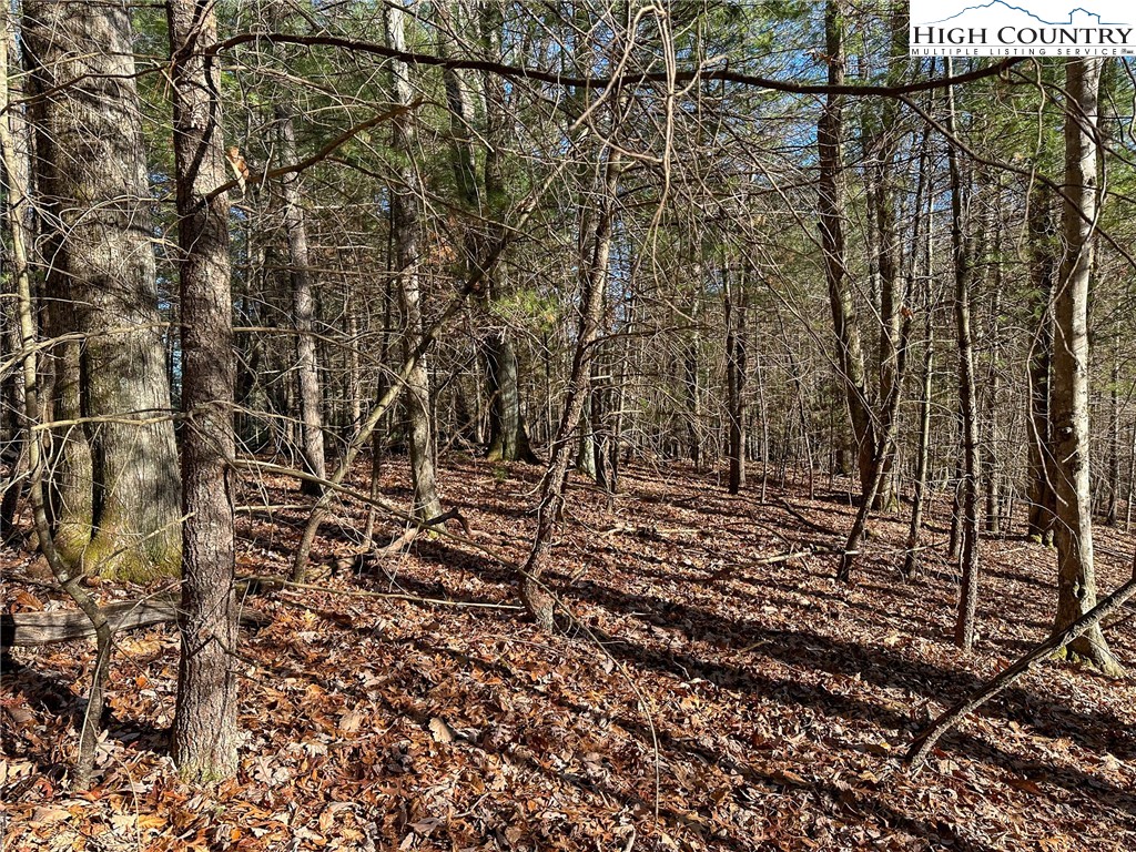 TBD Hidden Spring Extension