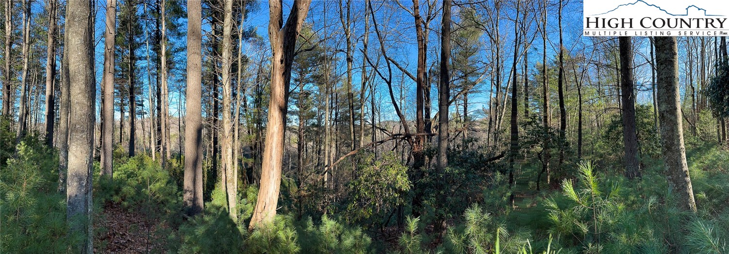 TBD Hidden Spring Extension