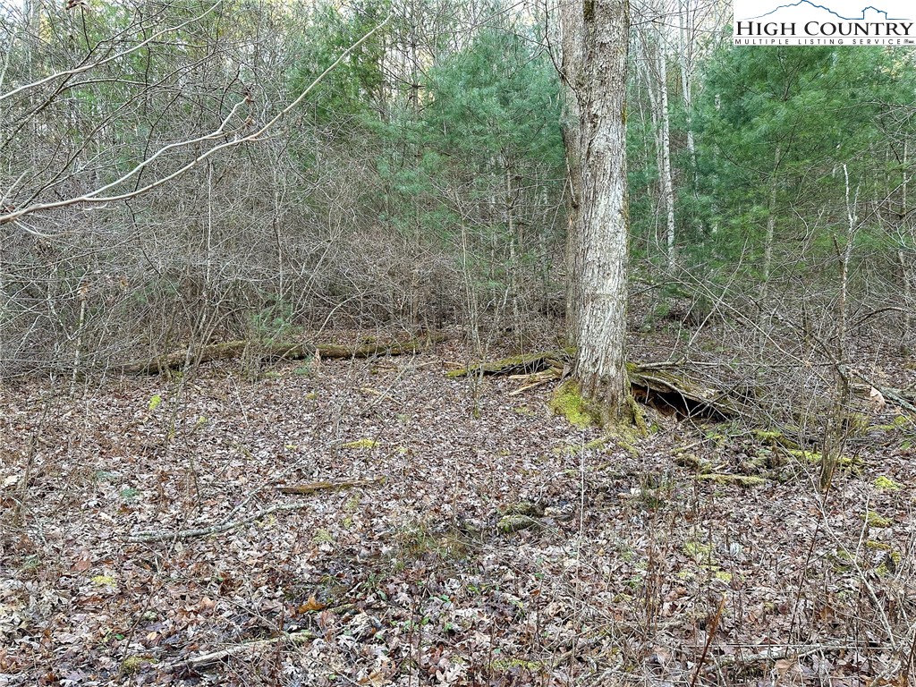 TBD Hidden Spring Extension