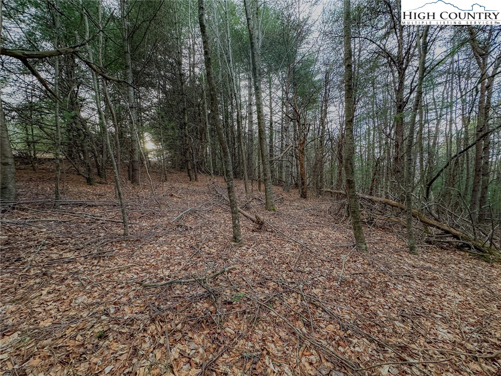 TBD Shawnee Trail