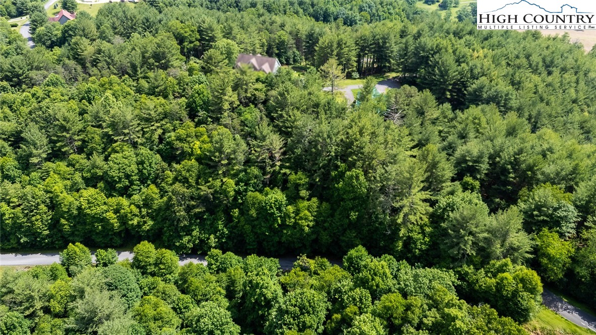 TBD Village Pine Drive