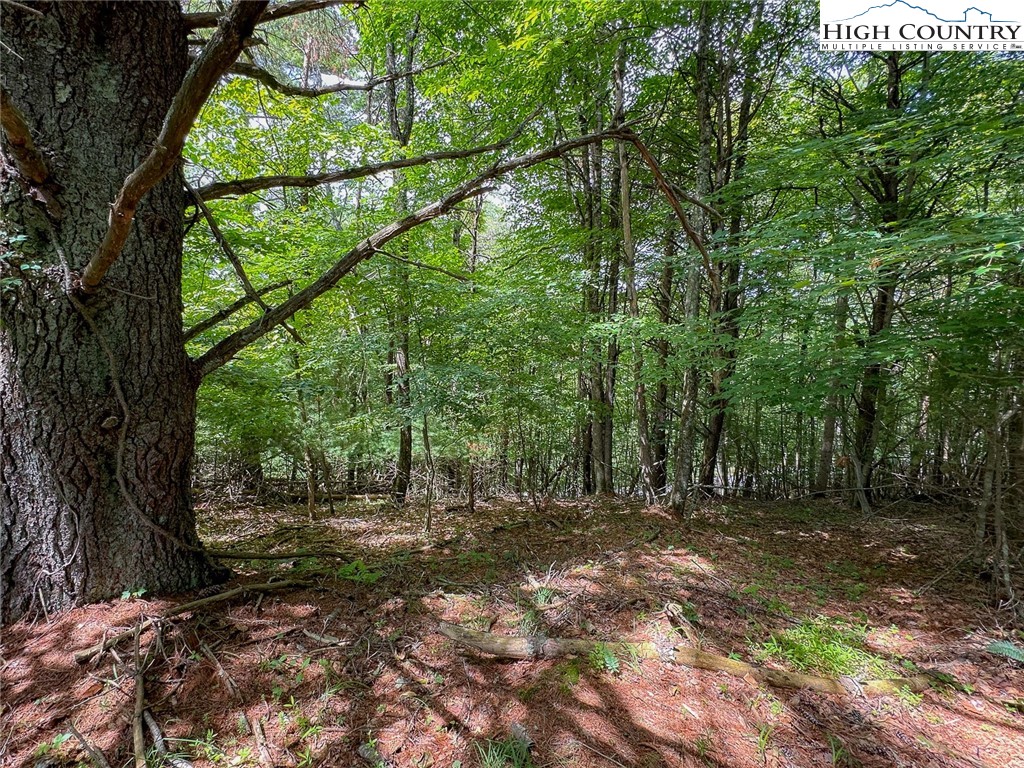 TBD Village Pine Drive