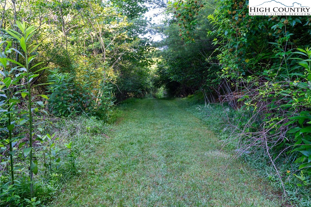 TBD Village Pine Drive