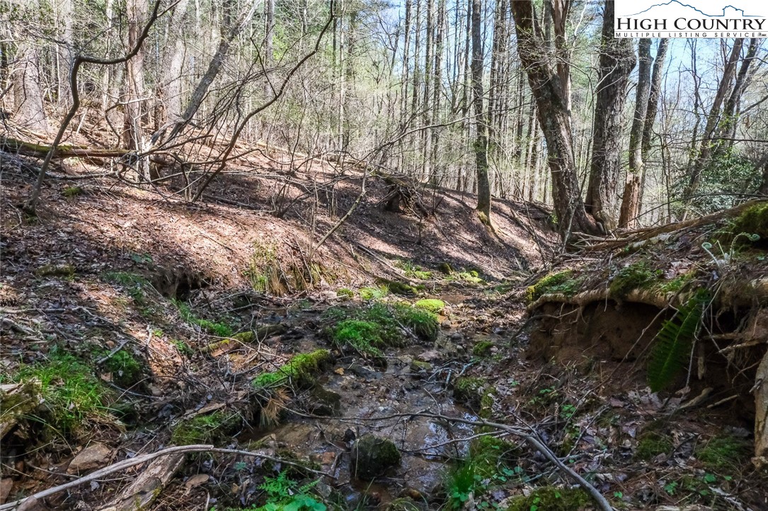 Lot 33 Woodland Valley Road