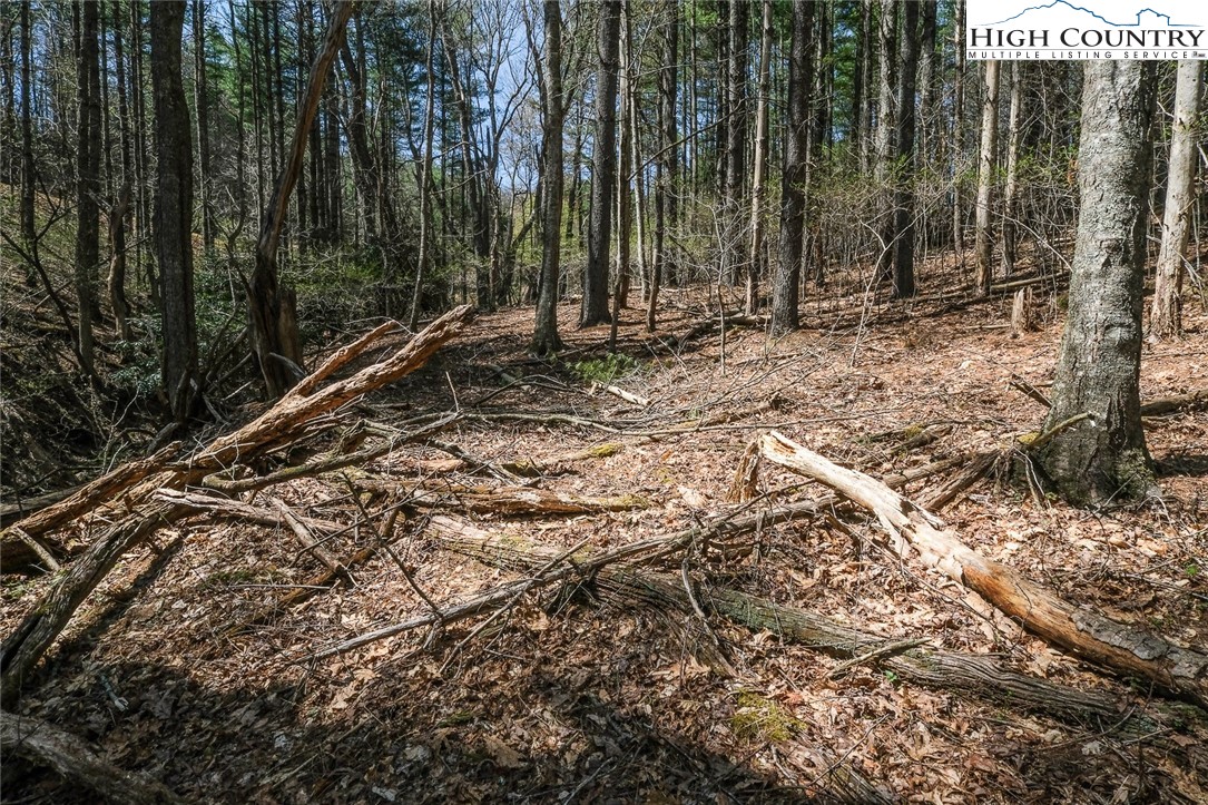 Lot 33 Woodland Valley Road