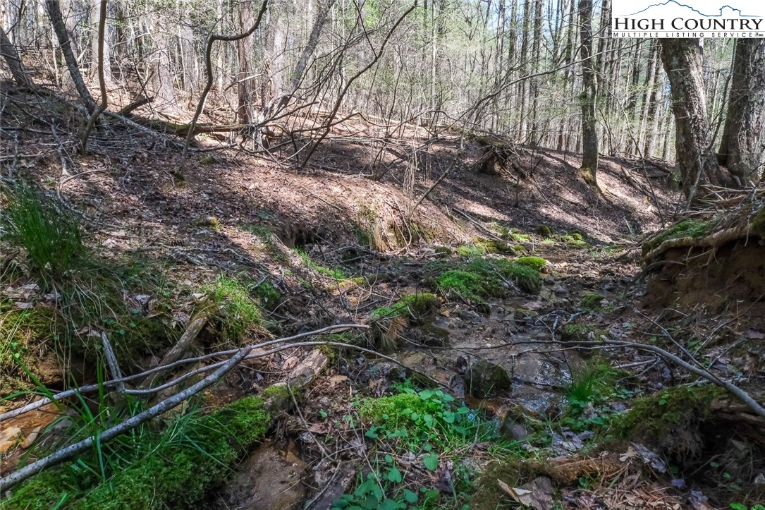 Lot 33 Woodland Valley Road