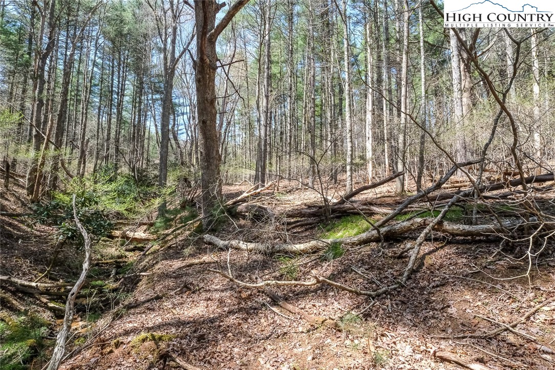 Lot 33 Woodland Valley Road