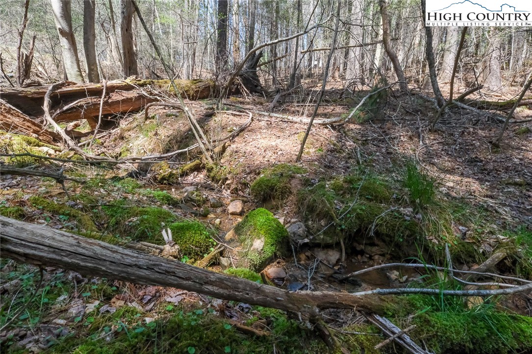 Lot 33 Woodland Valley Road