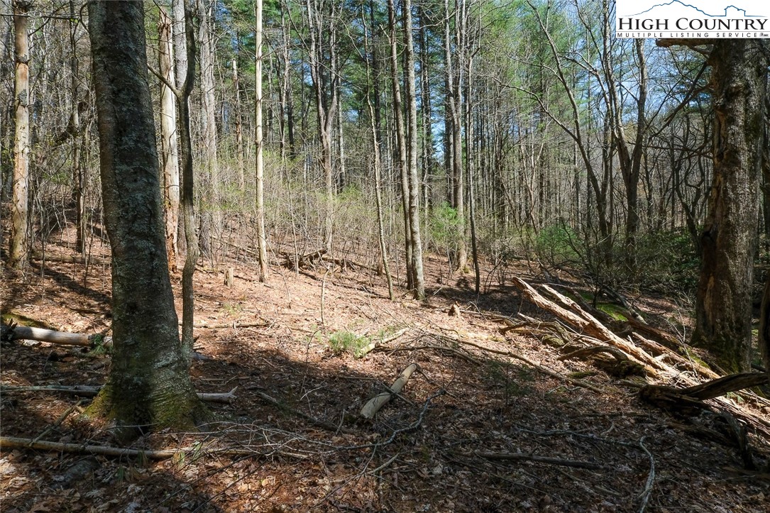 Lot 33 Woodland Valley Road