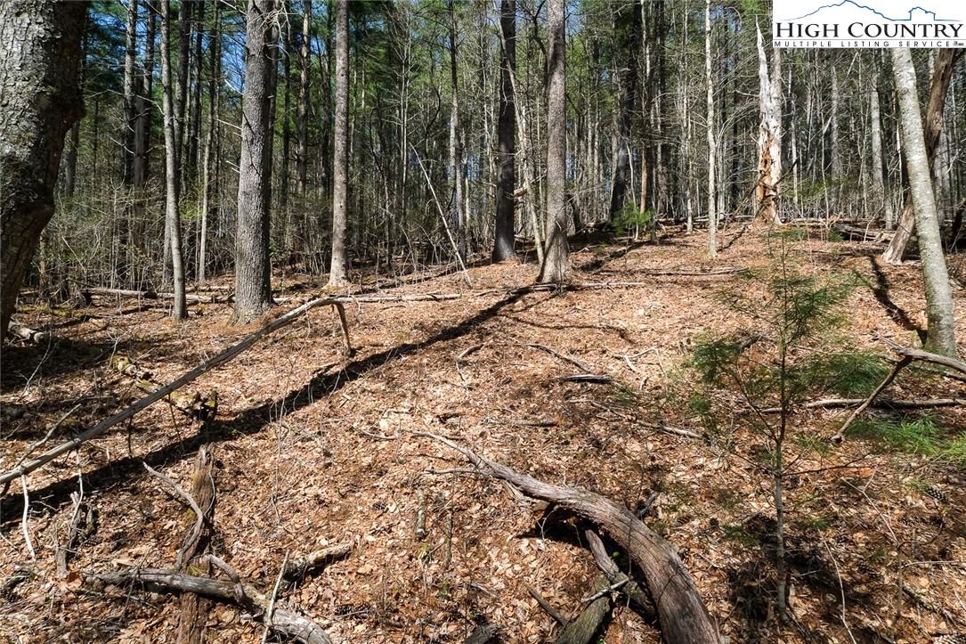 Lot 34 Woodland Valley Road