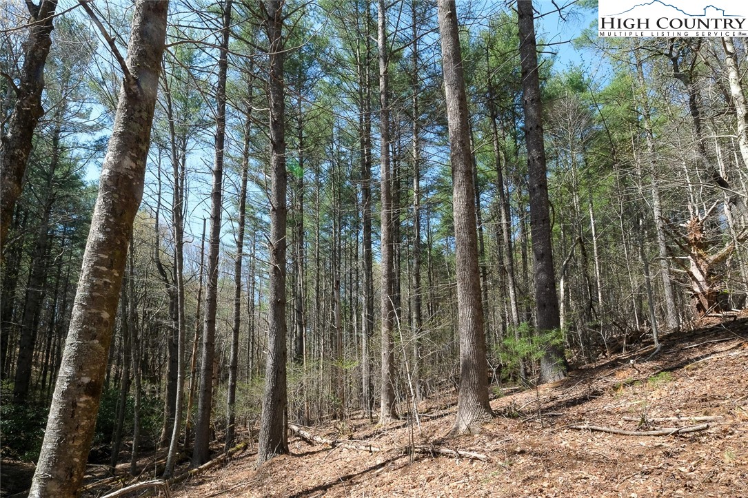 Lot 34 Woodland Valley Road