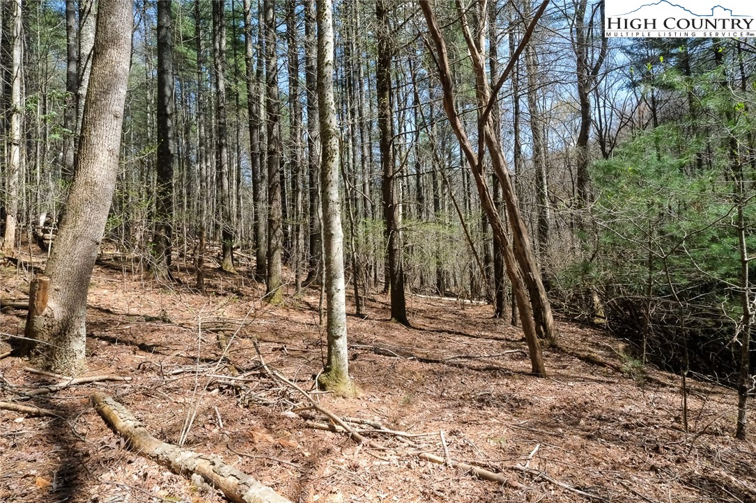 Lot 34 Woodland Valley Road