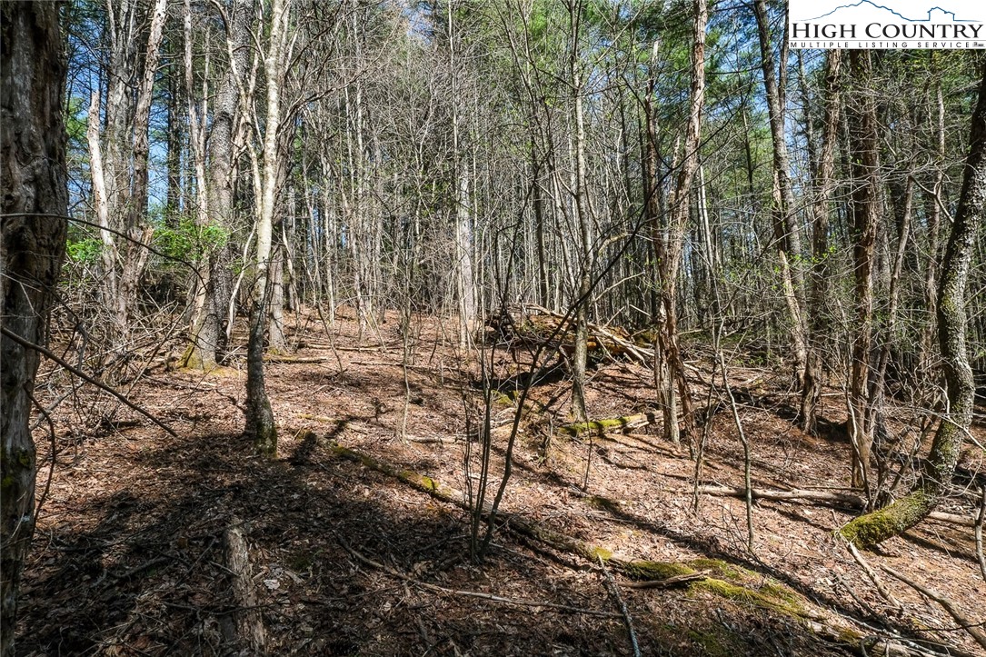 Lot 34 Woodland Valley Road