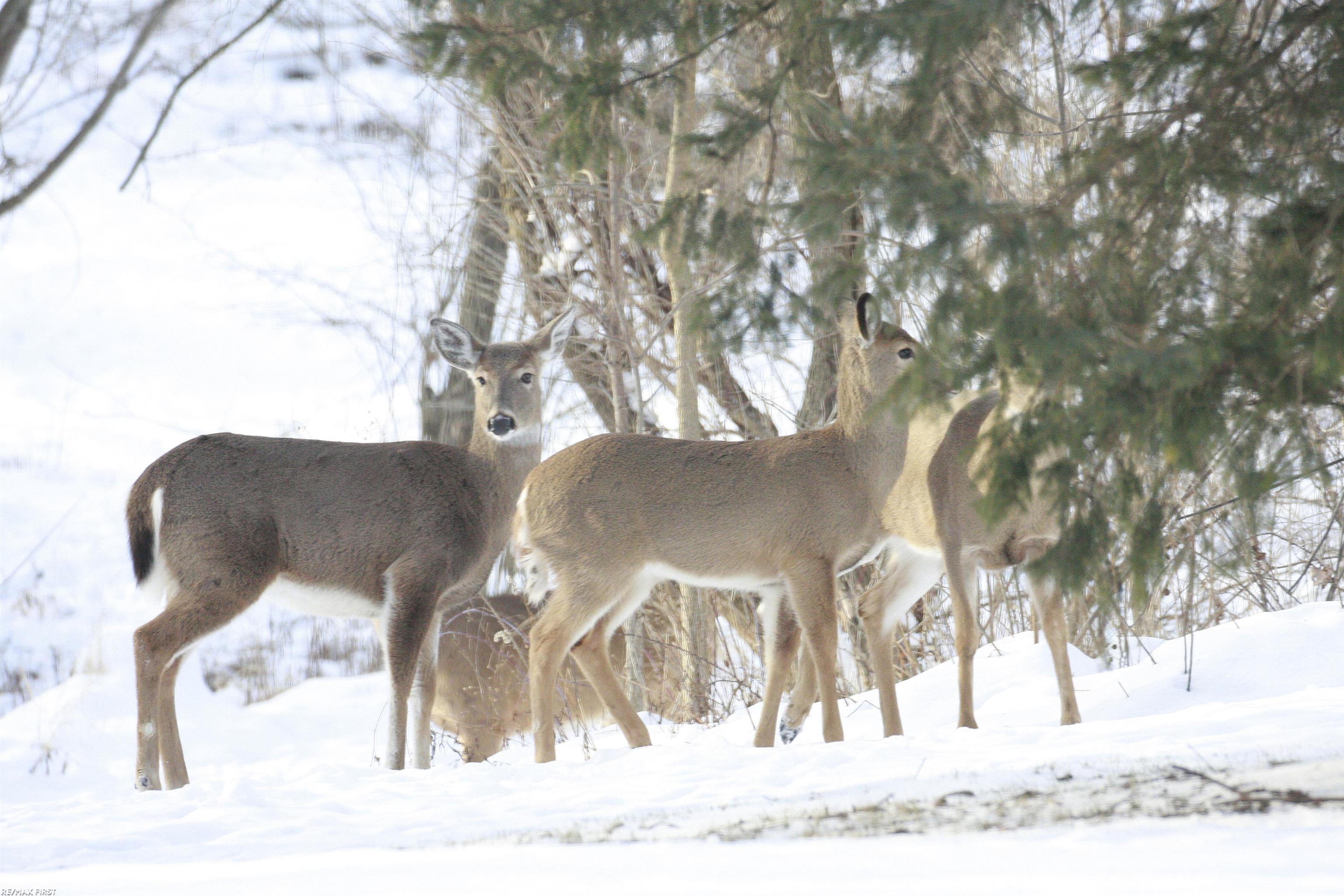 44357 Thunder Bay Drive