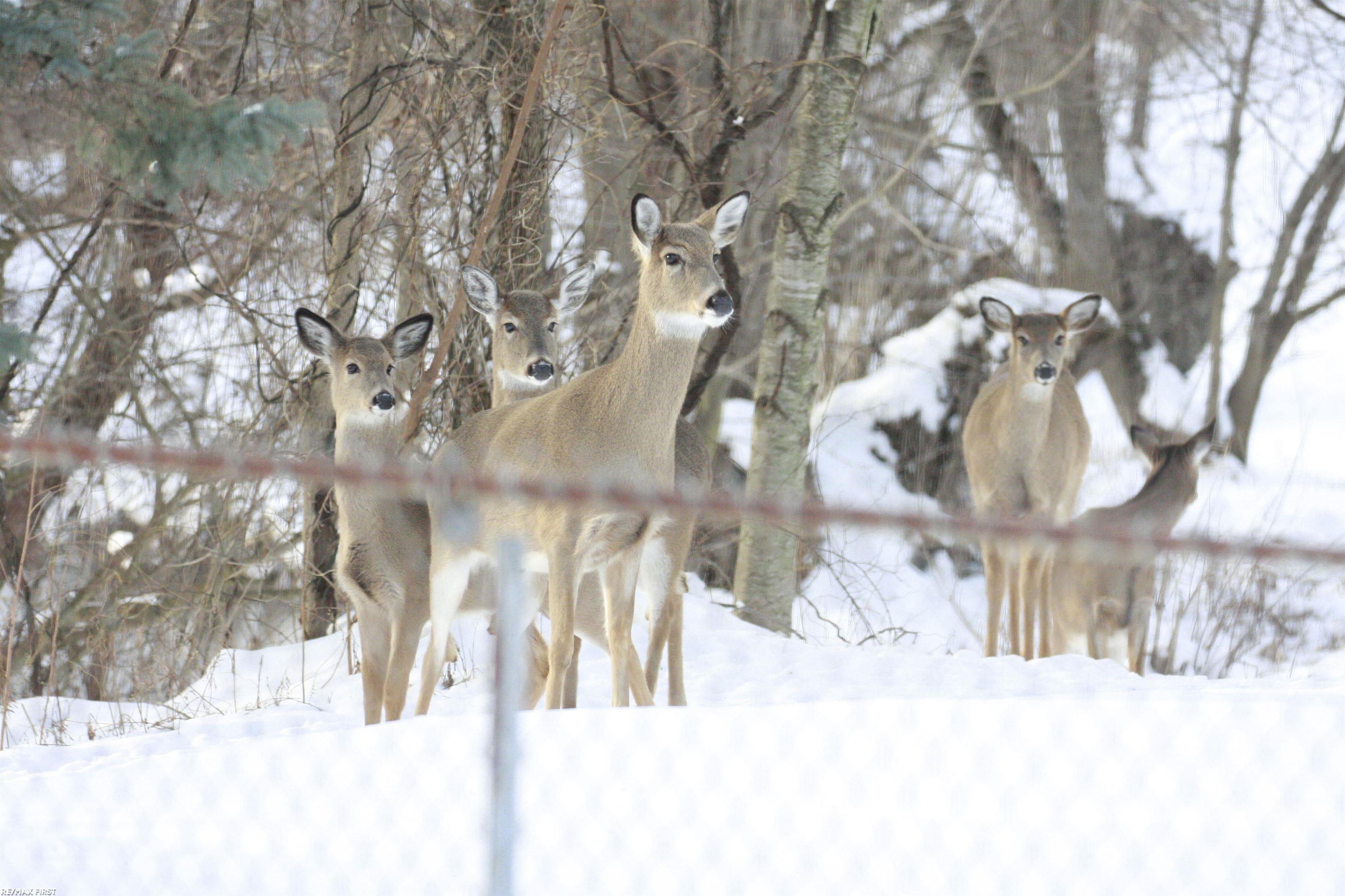 44357 Thunder Bay Drive