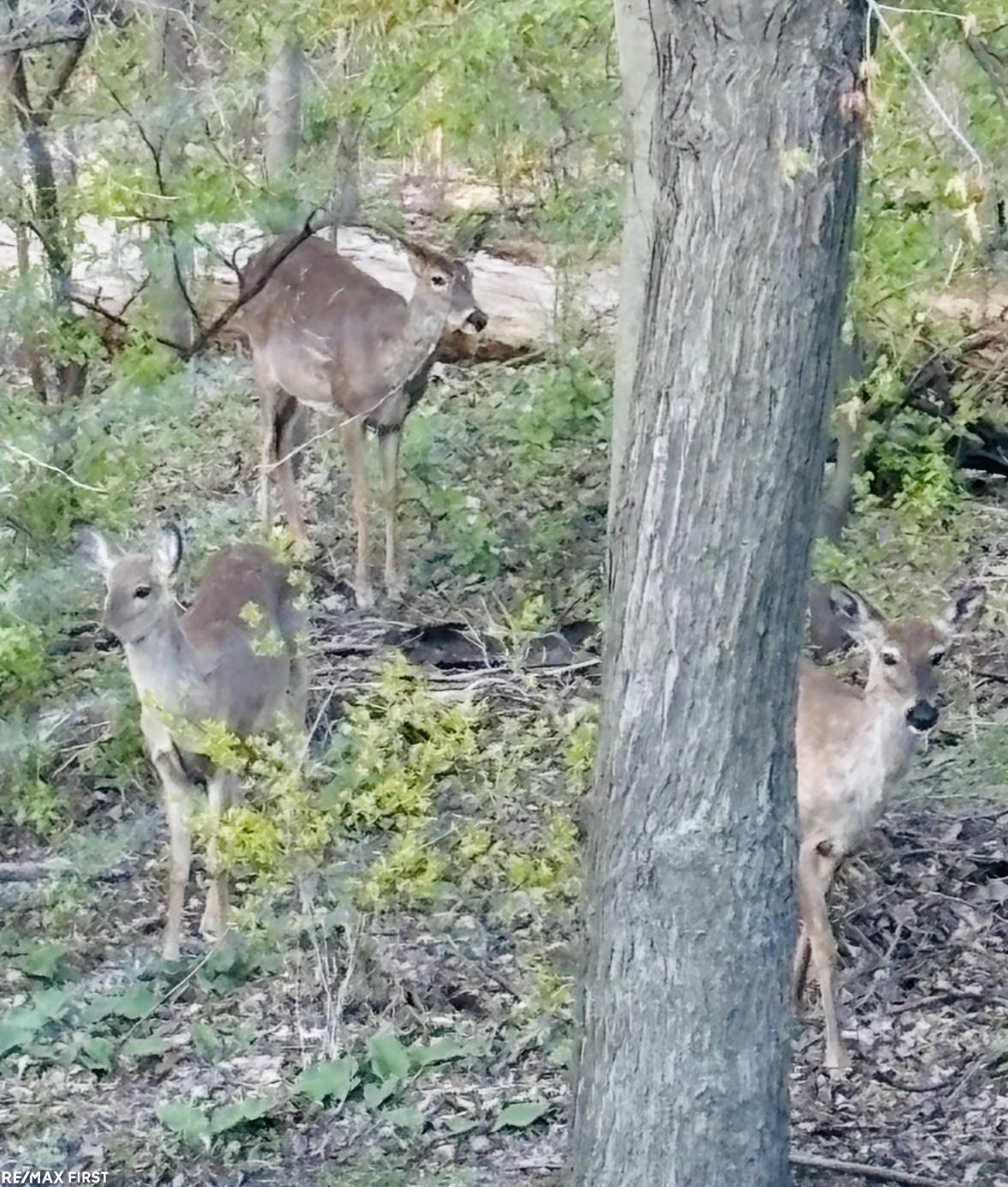 3830 Bristol Drive