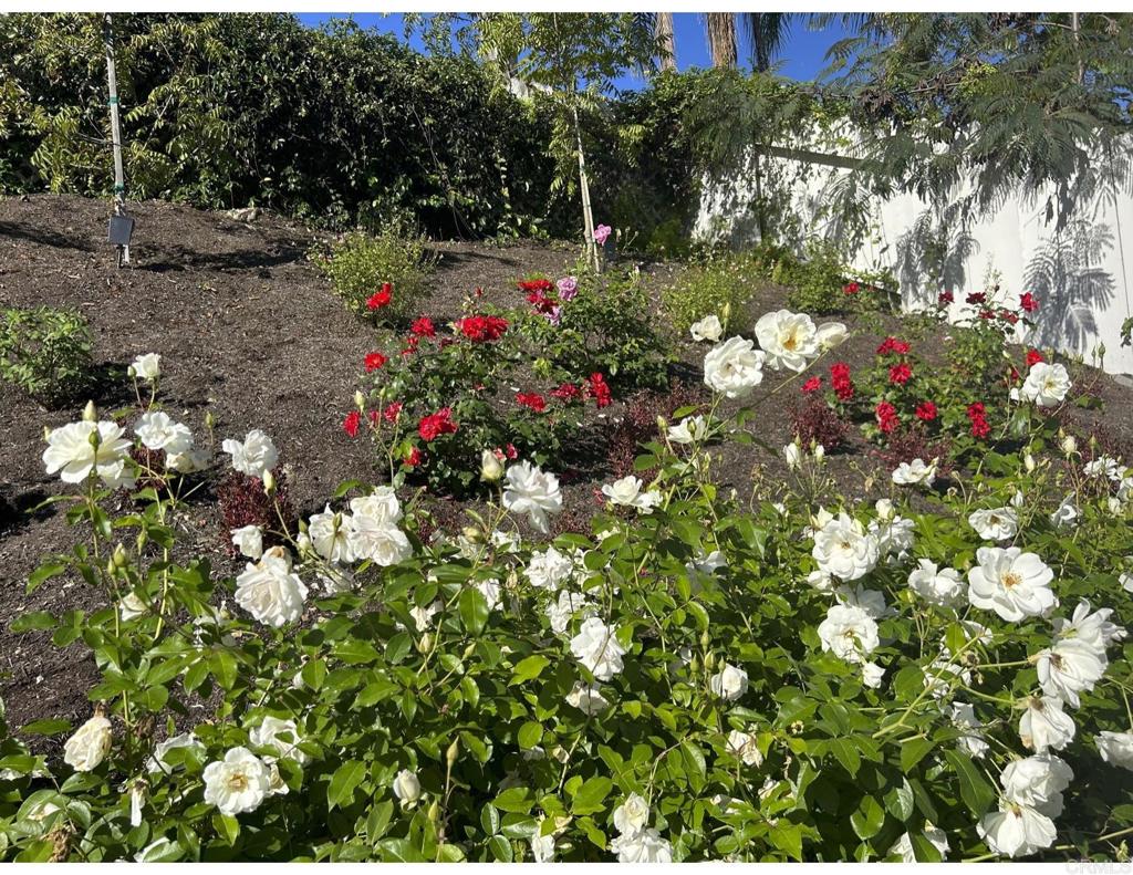 1438 Crestview Drive