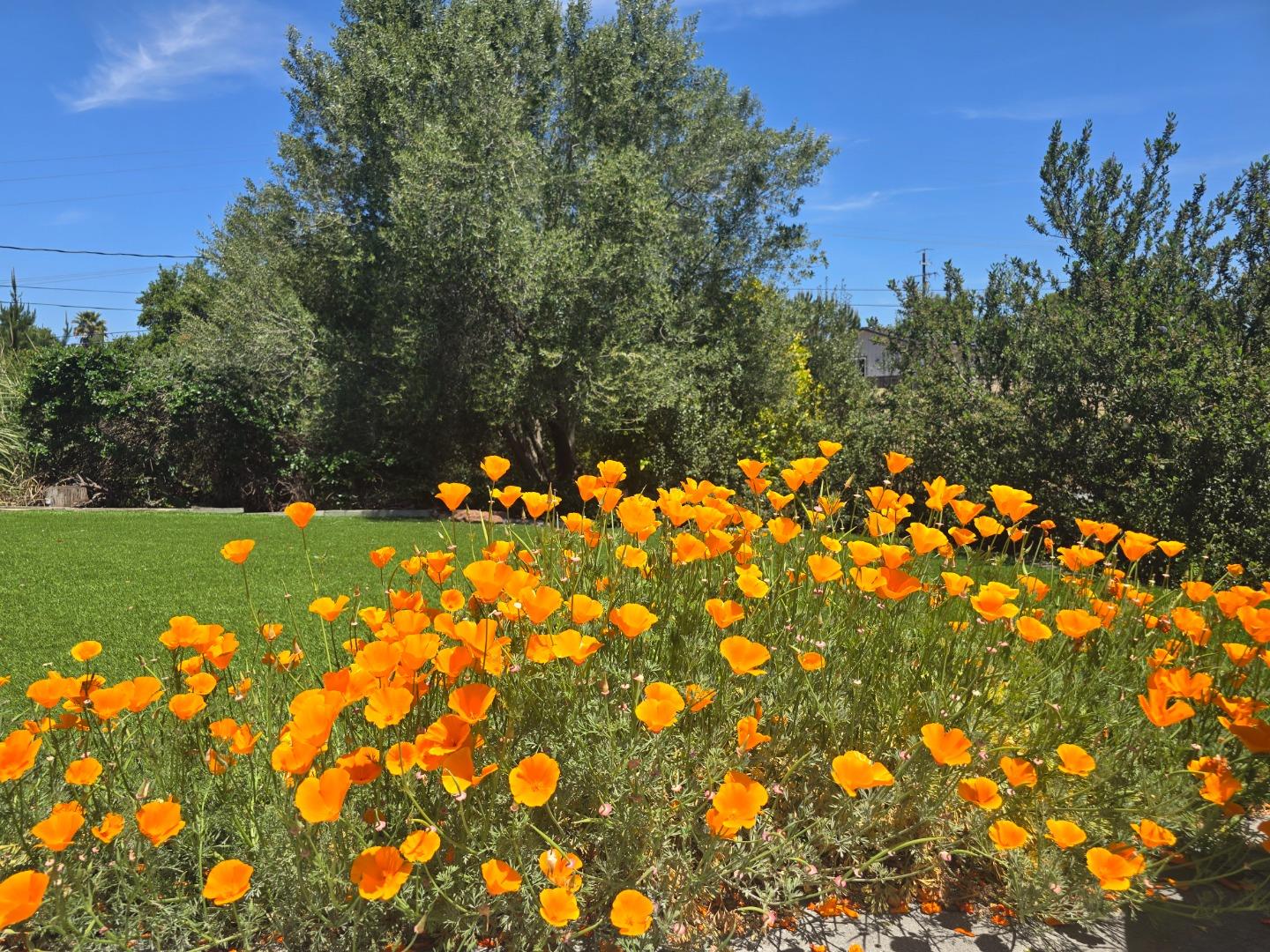 2 MESA DEL SOL