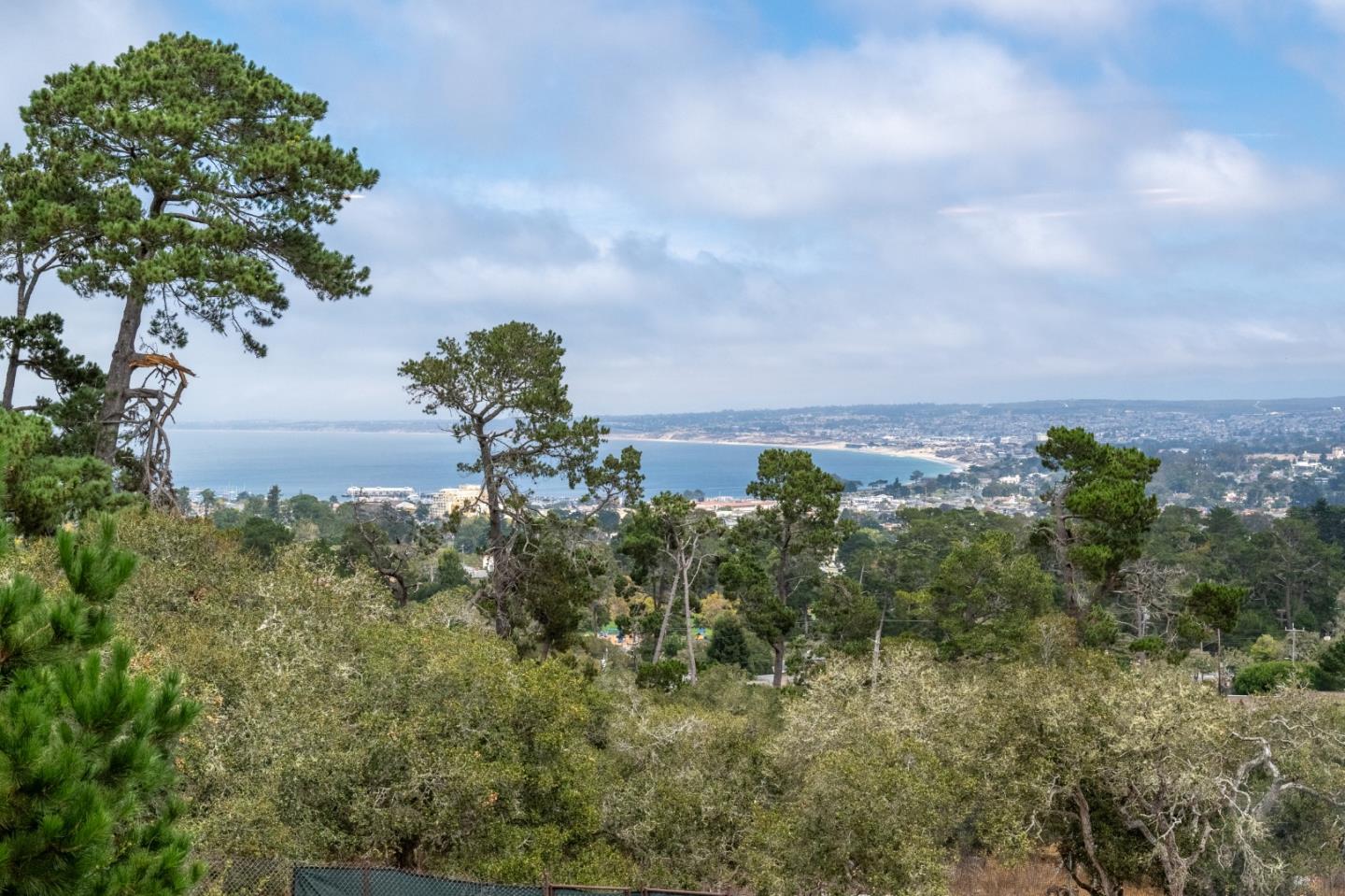 1 Walter Colton DR