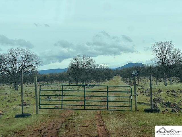 Buffalo Road
