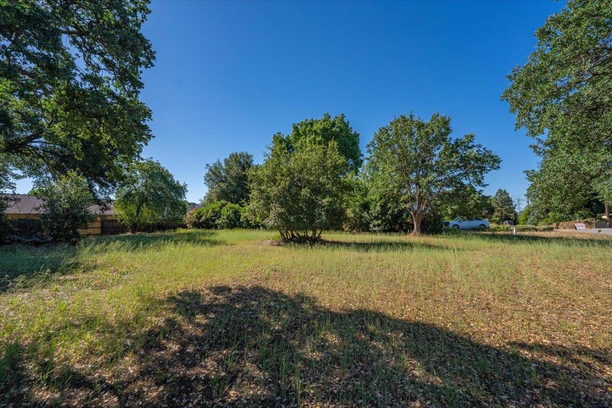 12900 Arbor Lane