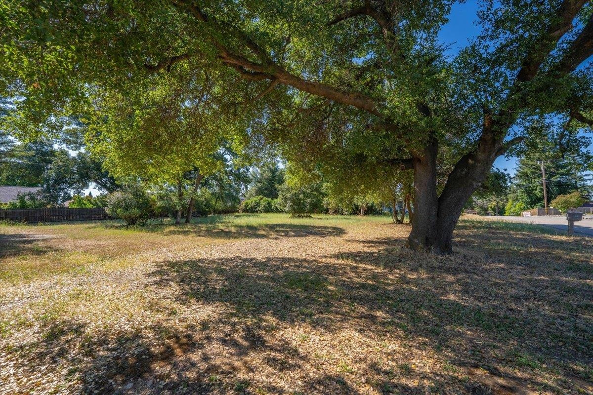 12900 Arbor Lane