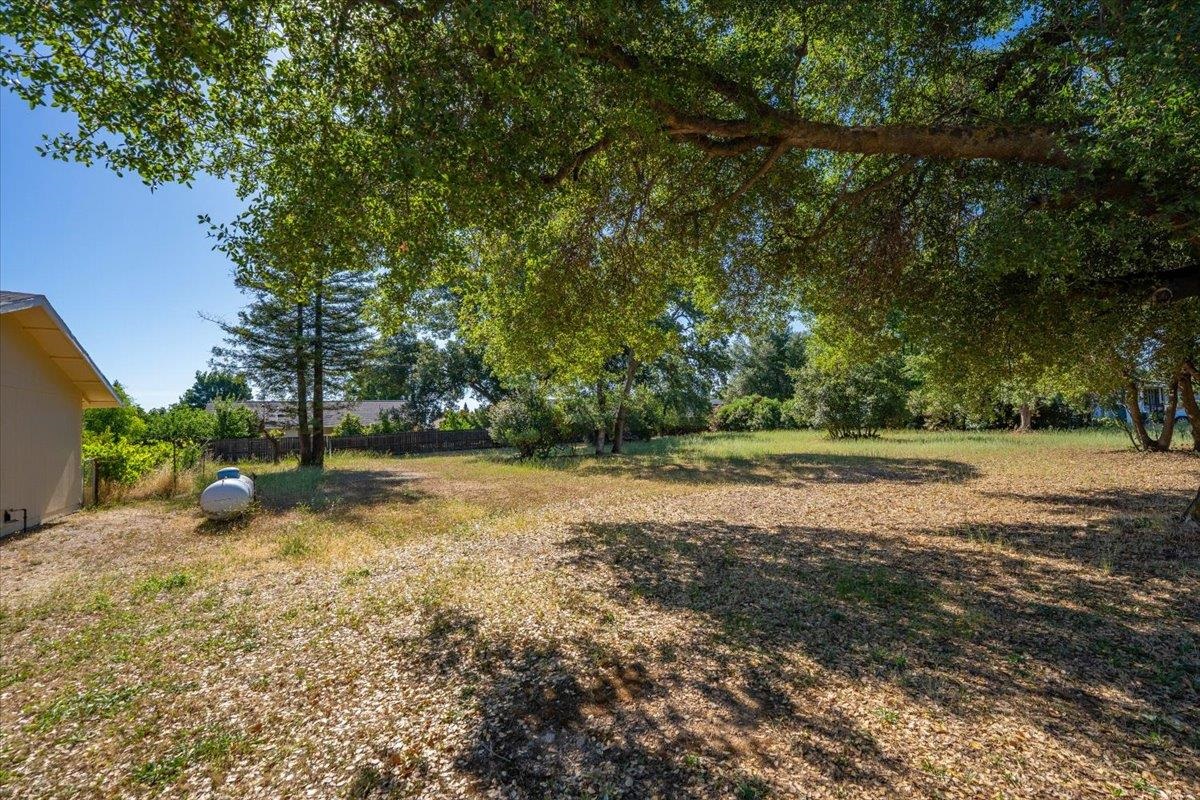 12900 Arbor Lane