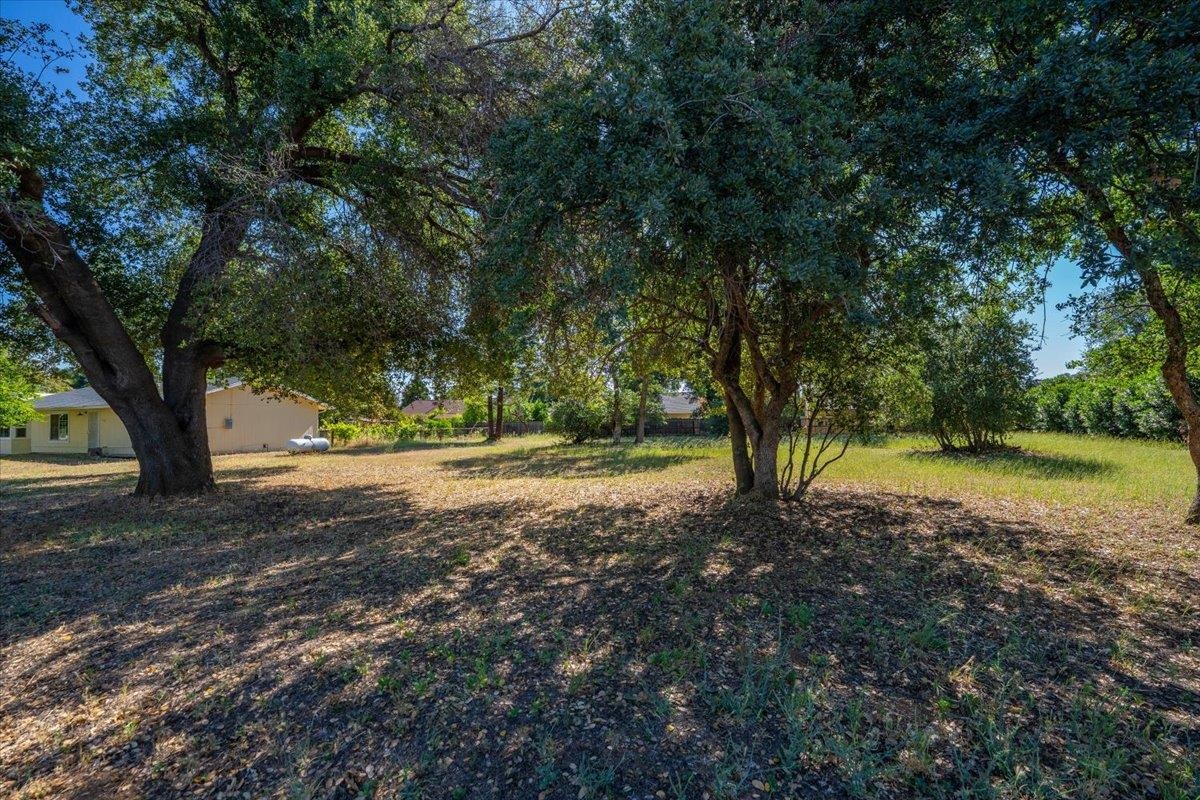 12900 Arbor Lane