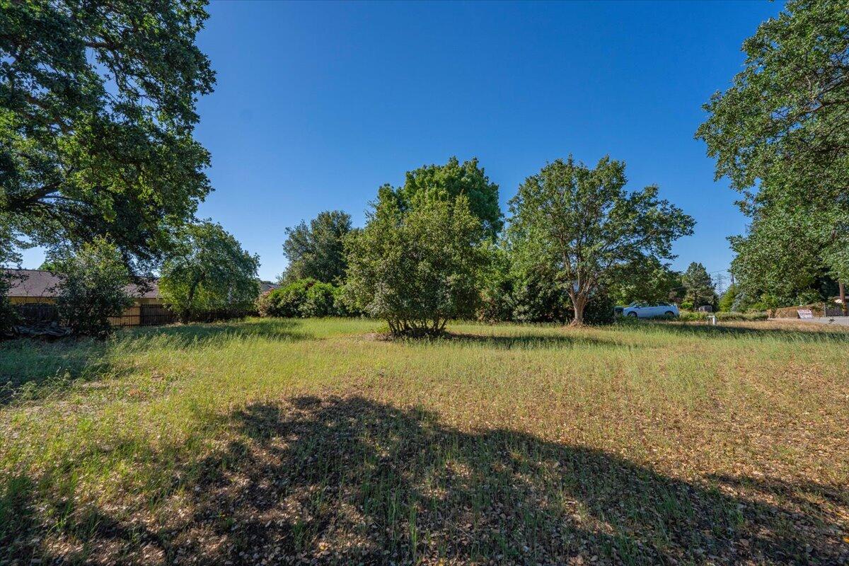 12900 Arbor Lane