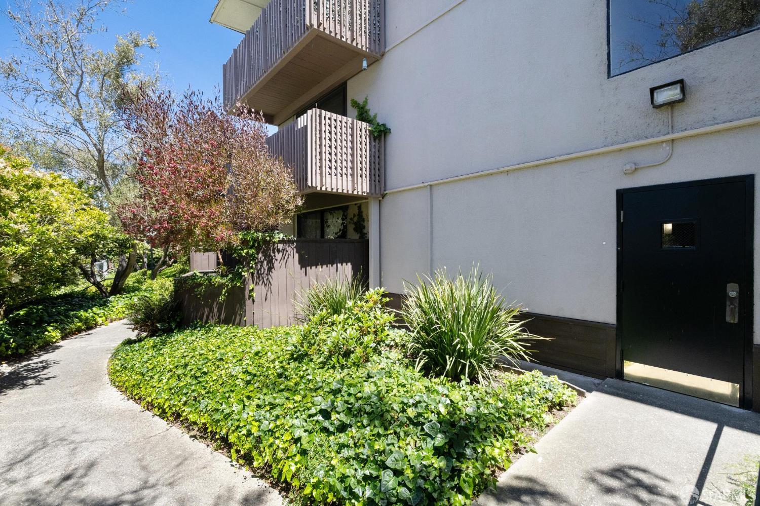 3256 Shelter Creek Lane