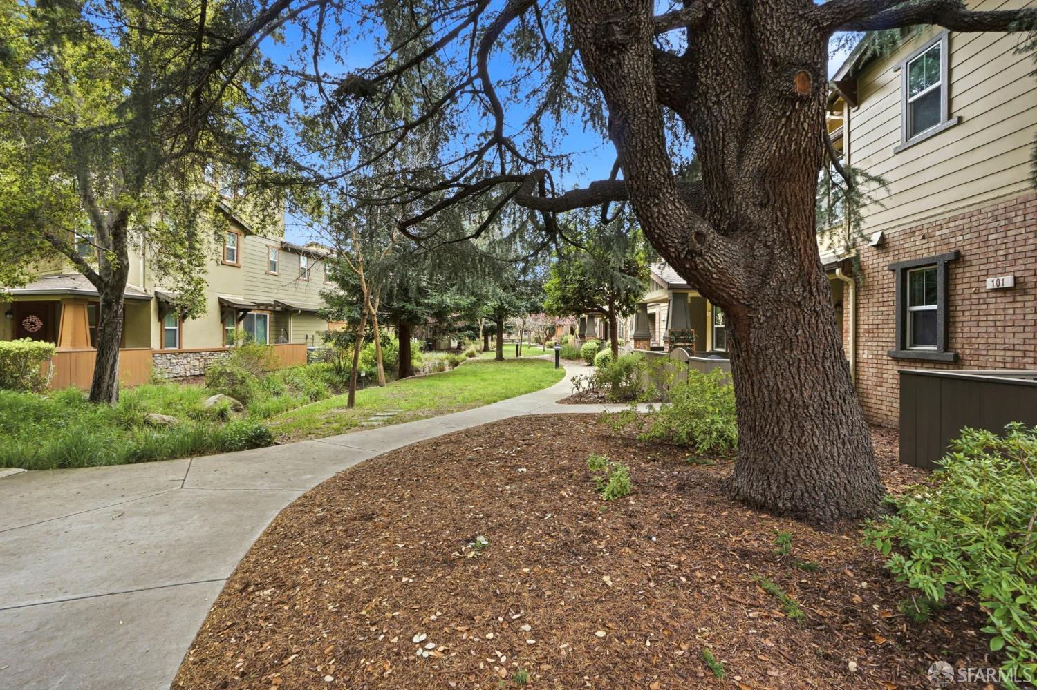 2541 Oak Road