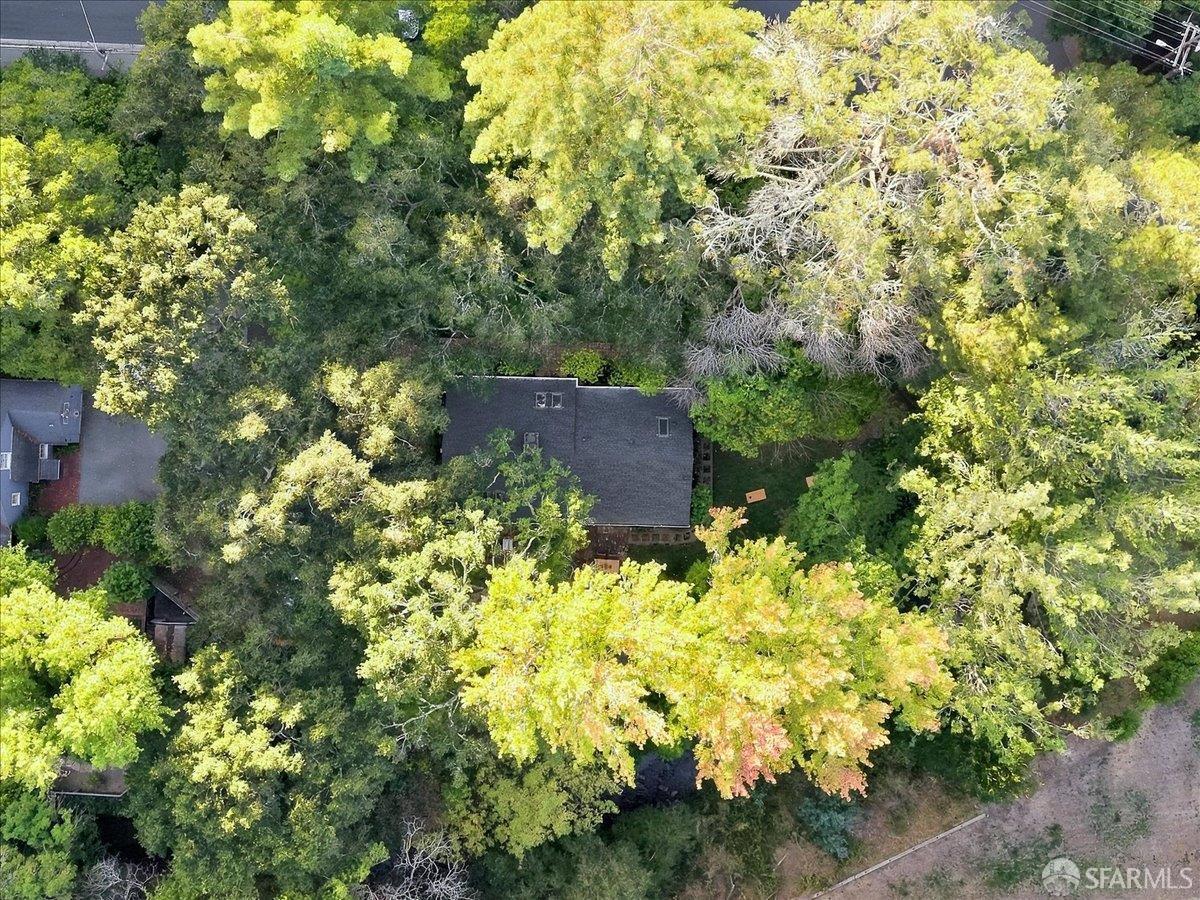 805 Crystal Springs Road