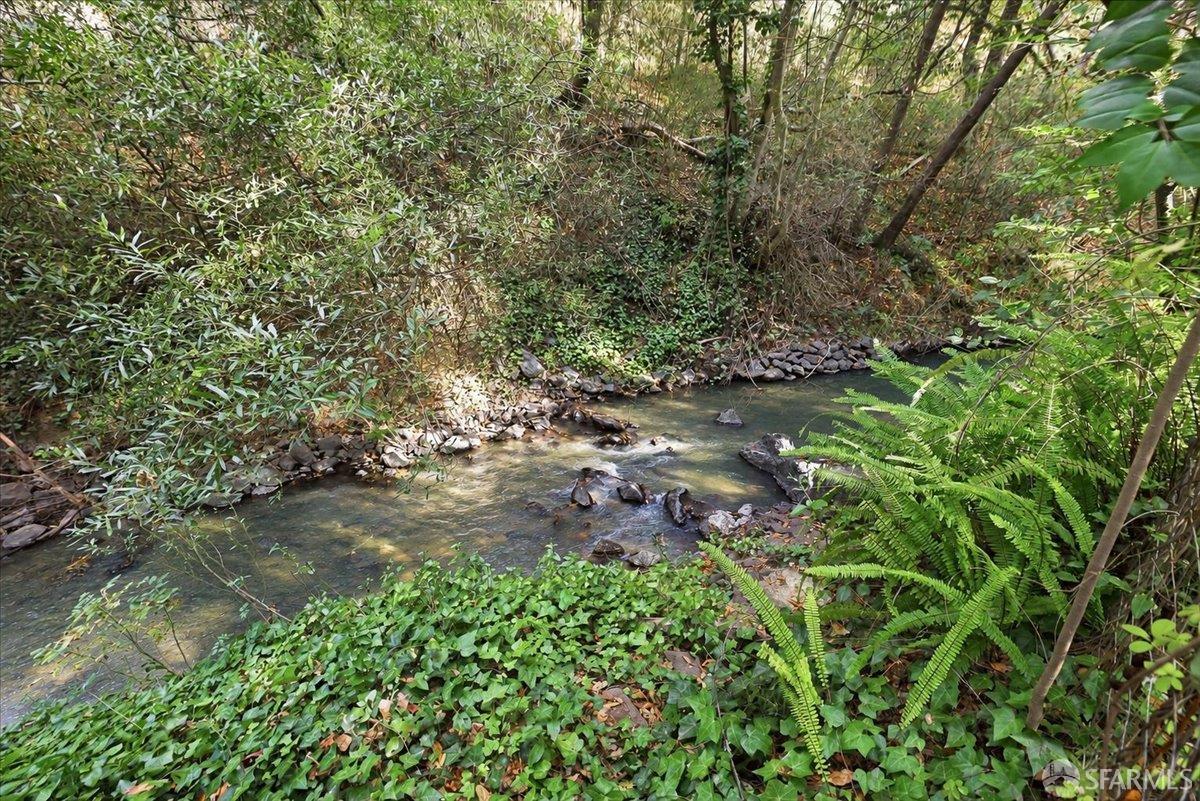 805 Crystal Springs Road