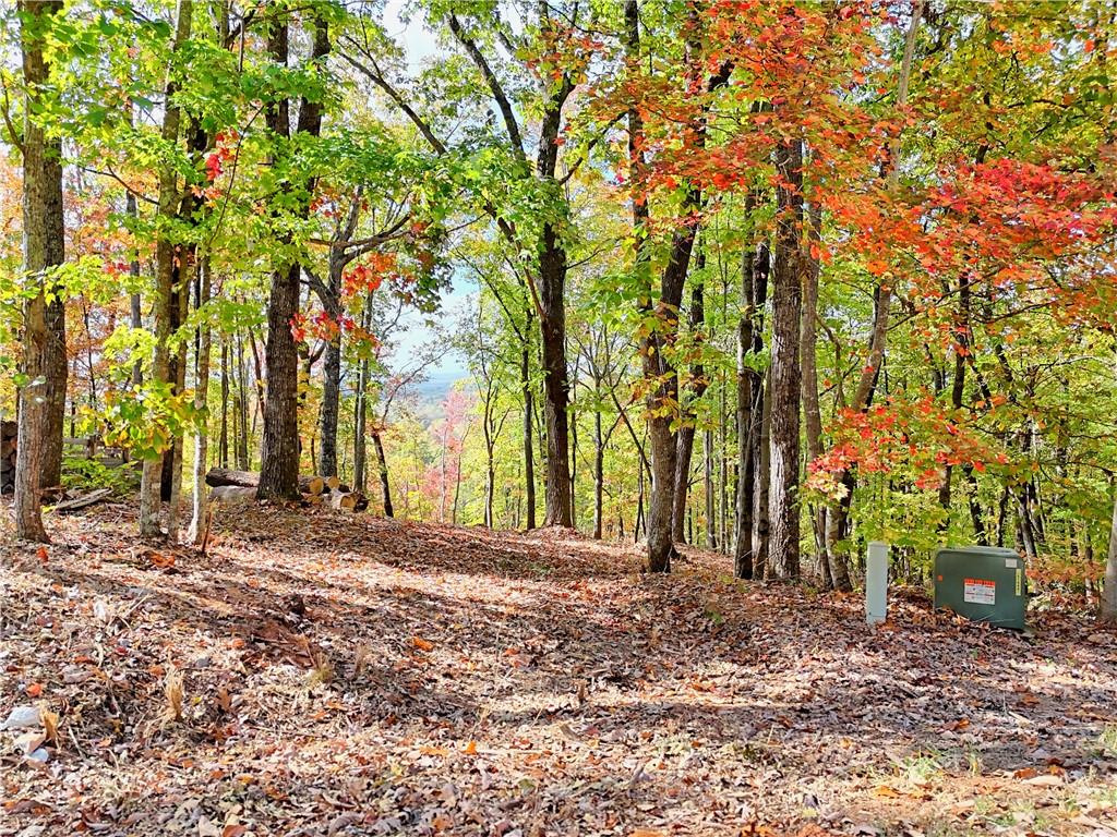 LOT 28 Long Mountain Road