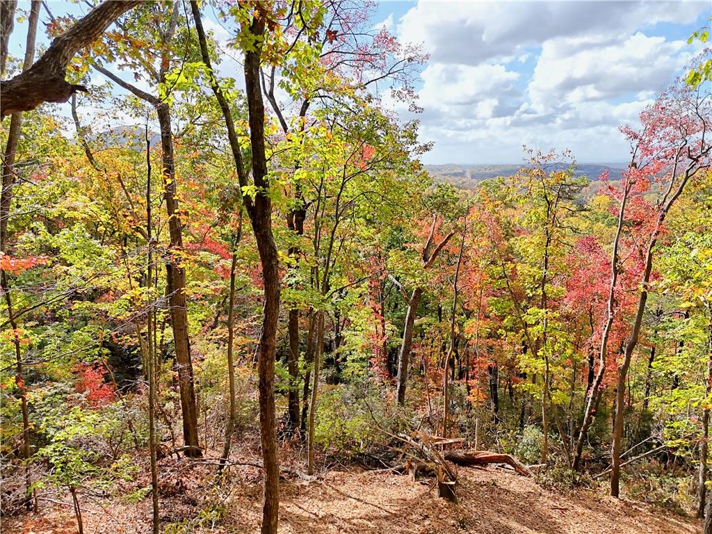 LOT 28 Long Mountain Road