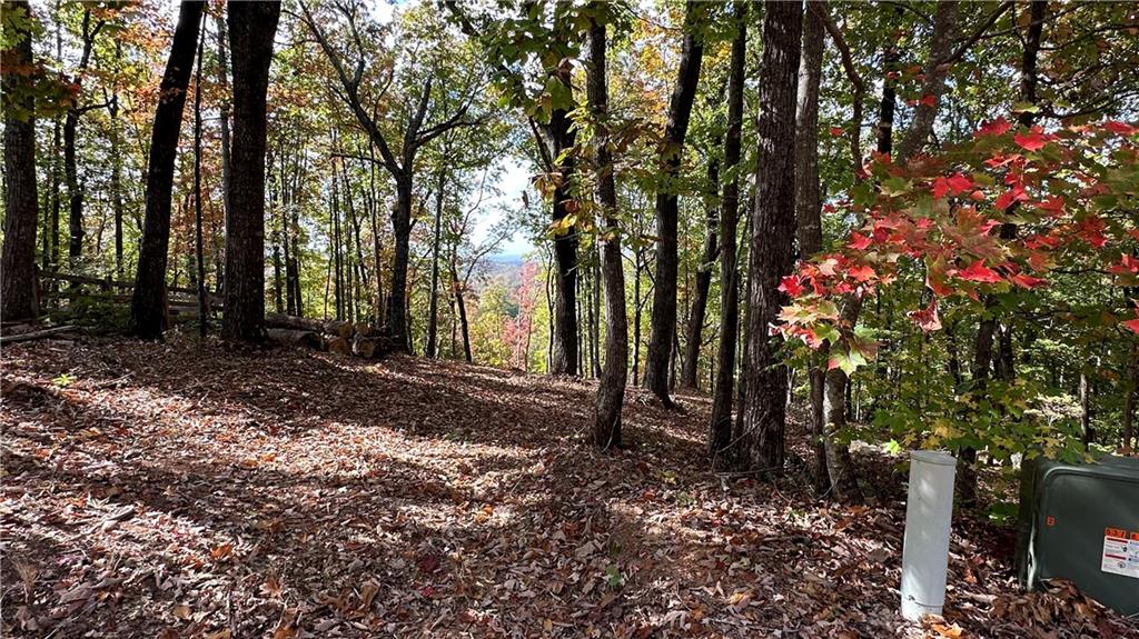 LOT 28 Long Mountain Road