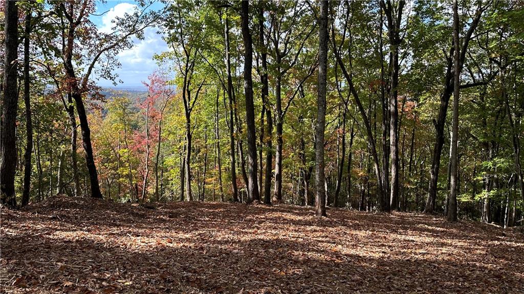 LOT 28 Long Mountain Road