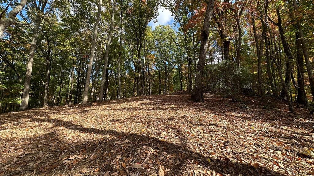 LOT 28 Long Mountain Road