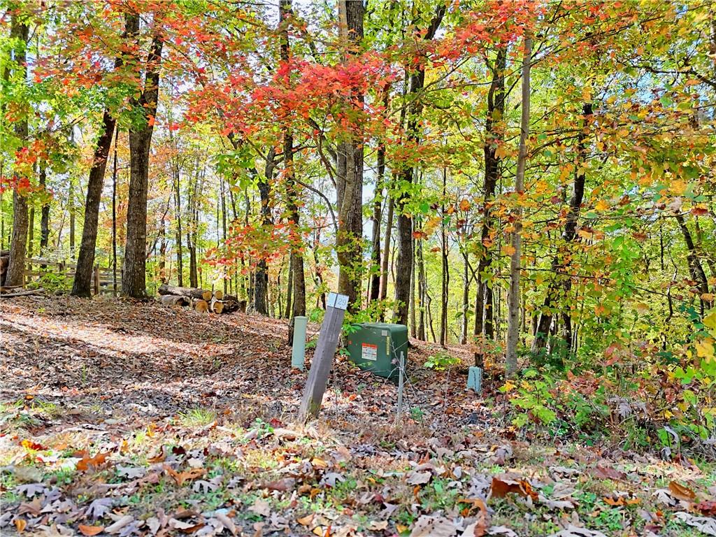 LOT 28 Long Mountain Road
