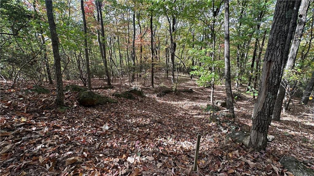 LOT 28 Long Mountain Road