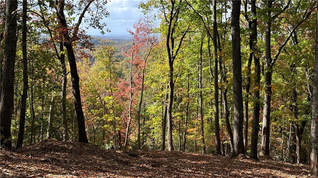LOT 28 Long Mountain Road