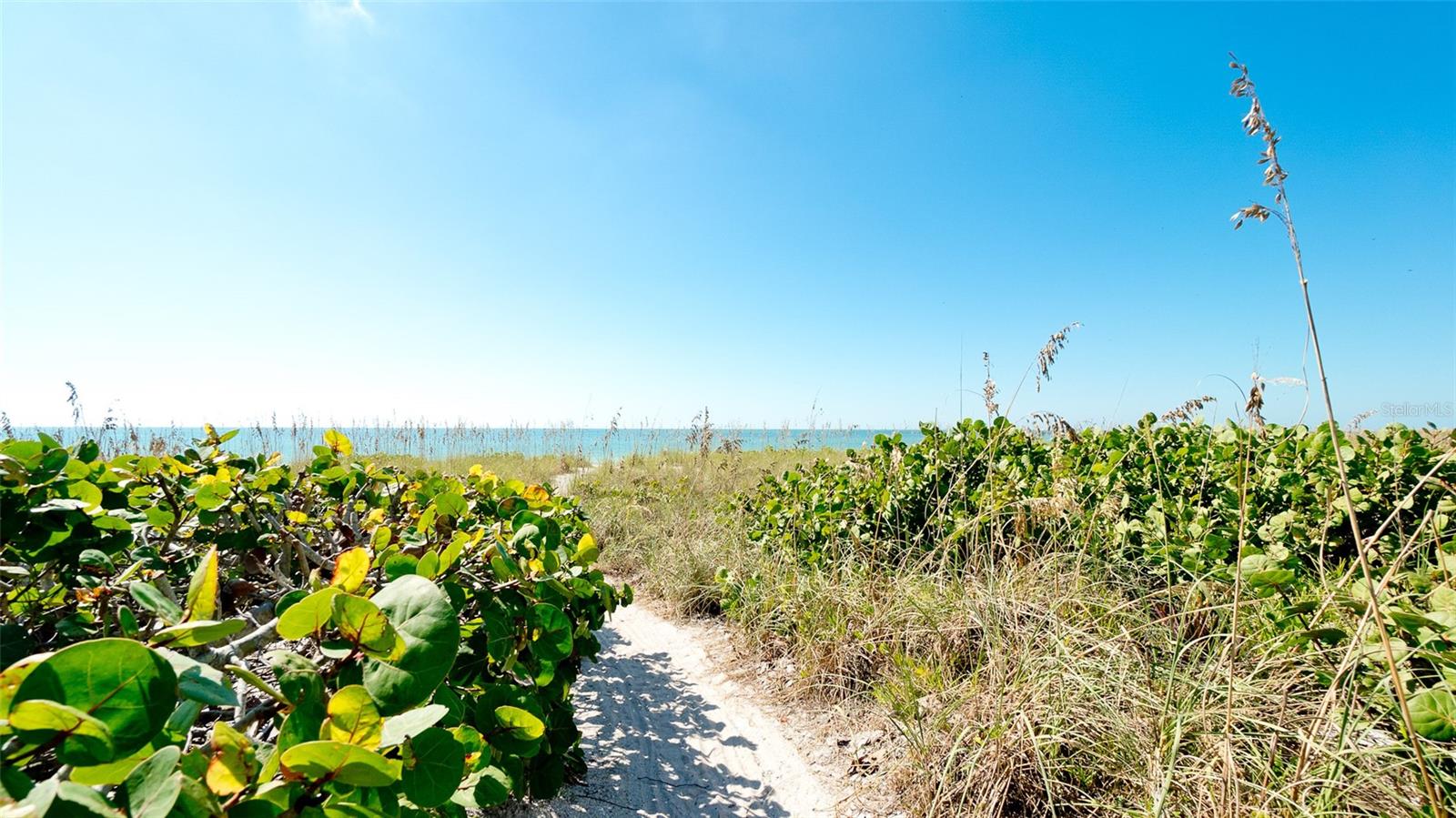 791 SAINT JUDES DR N