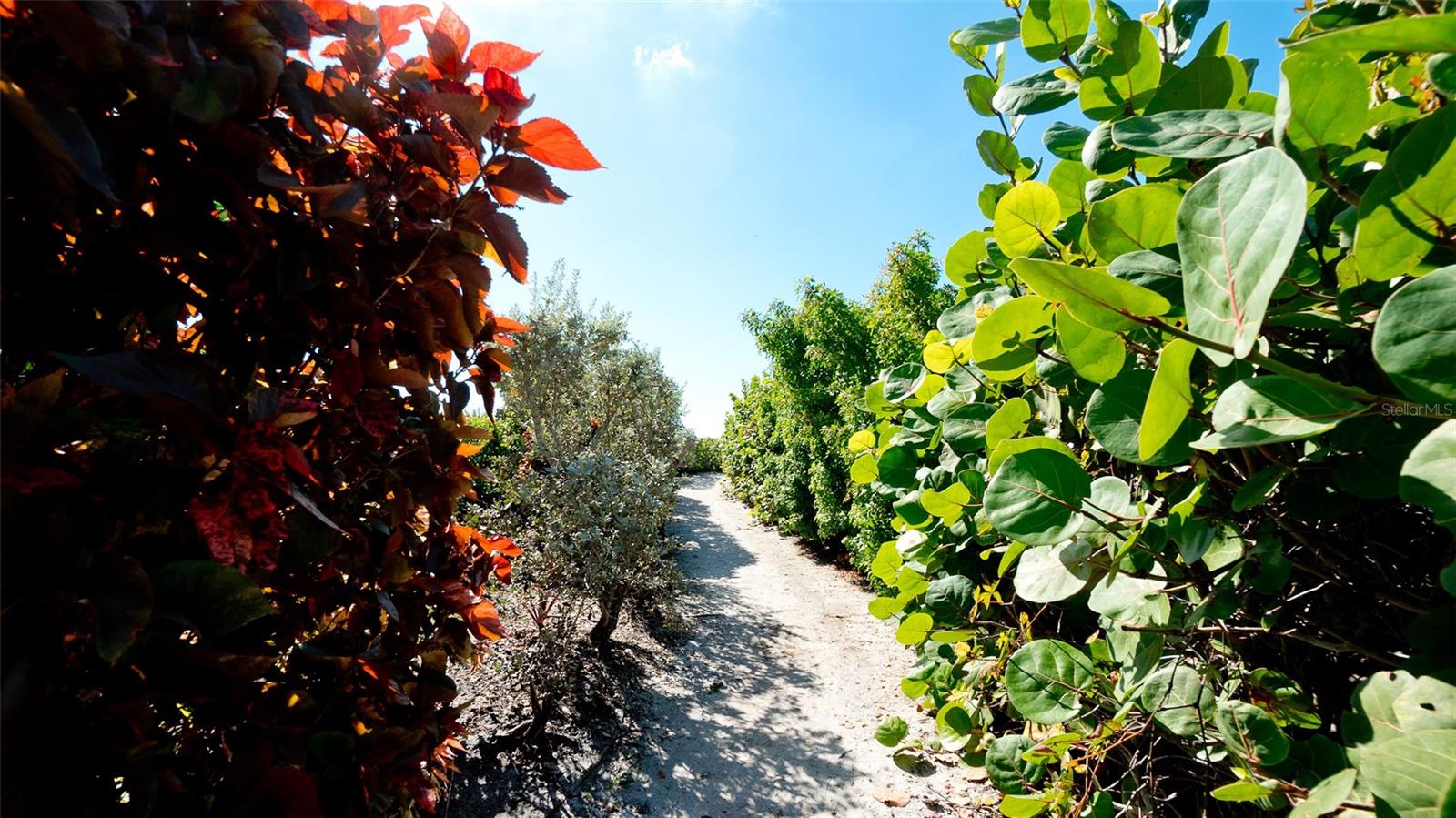 784 SAINT JUDES DR N