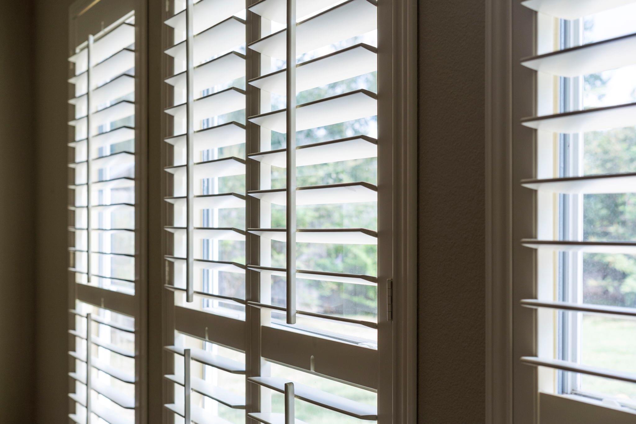 Interior windows with white plantation shutters and greenery visible outside.