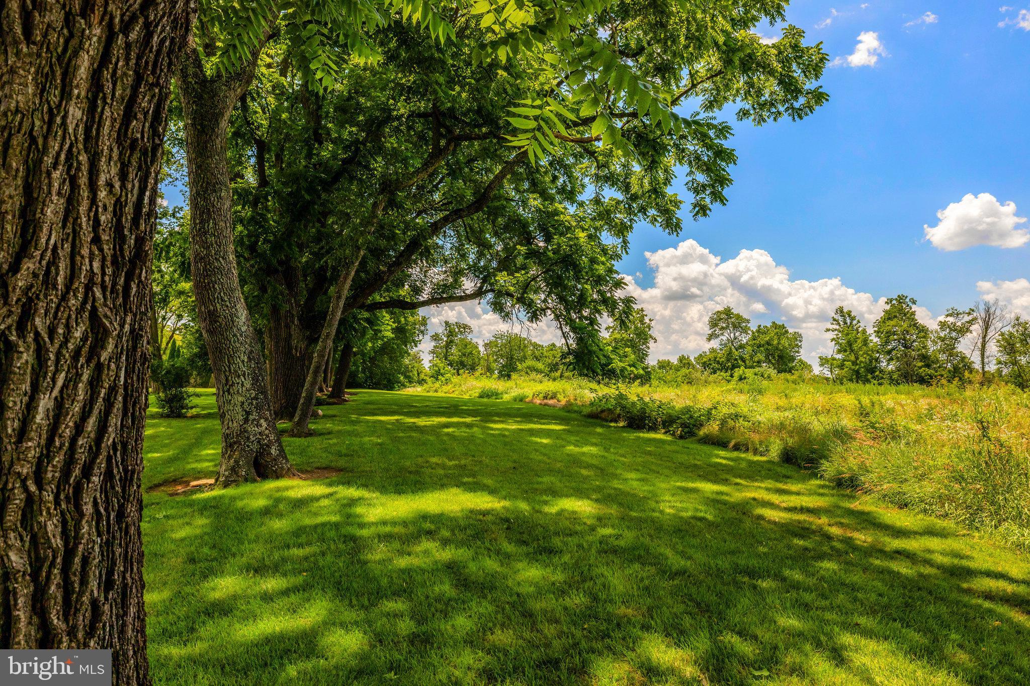 1000 W COUNTRY CLUB DRIVE W