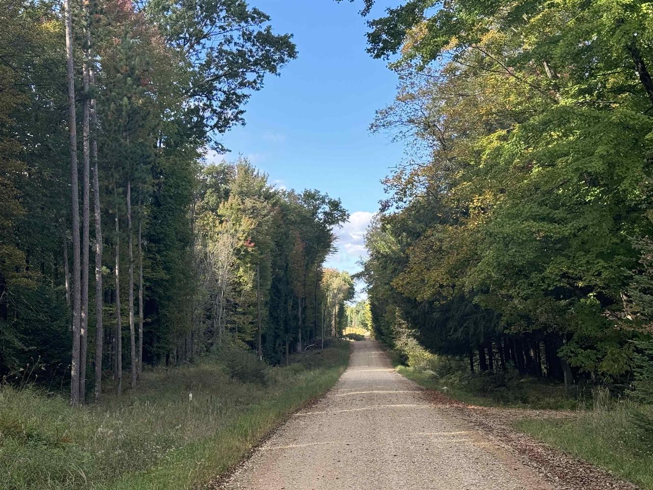 MAPLE LANE