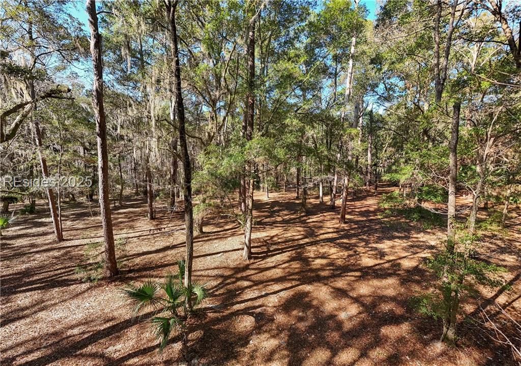 132 Spring Island Drive