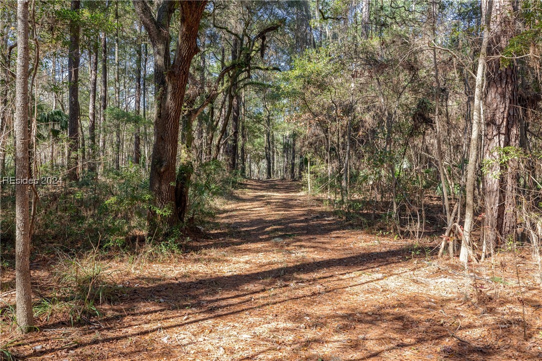 132 Spring Island Drive