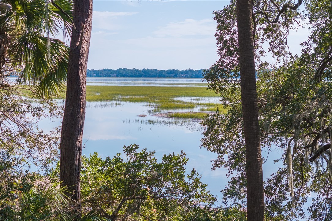 224 Spring Island Drive