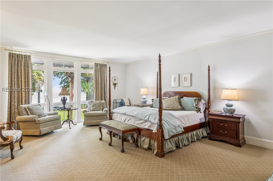 248 Spring Island Drive